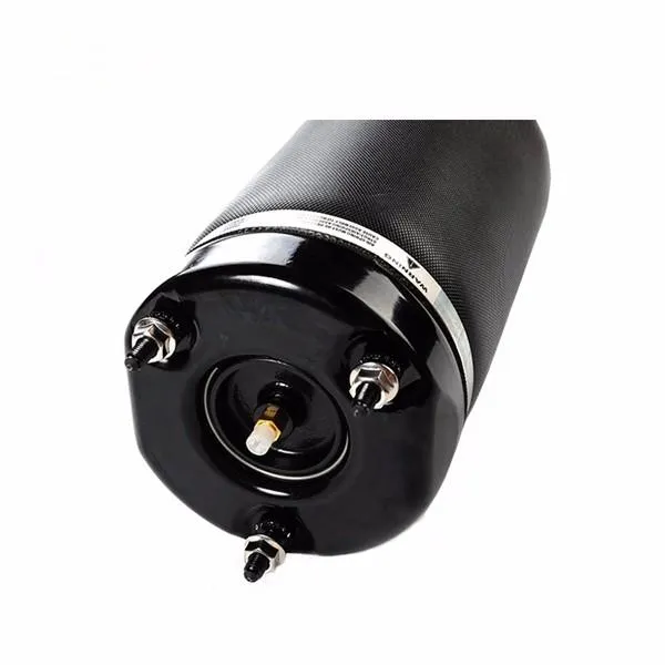 Airmatic Shock Absorber